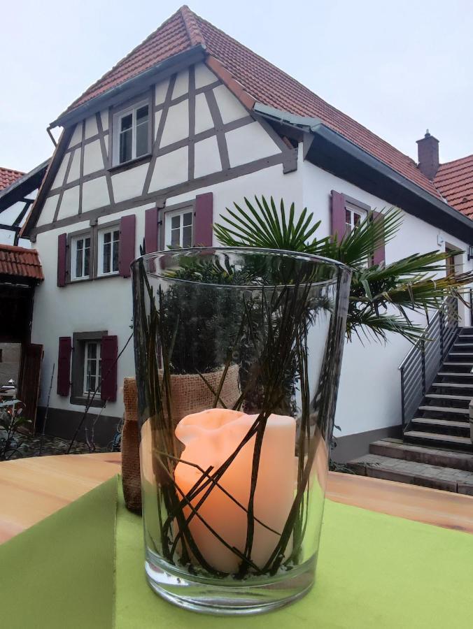 Hofgarten Rosa Ilbesheim bei Landau in der Pfalz Esterno foto