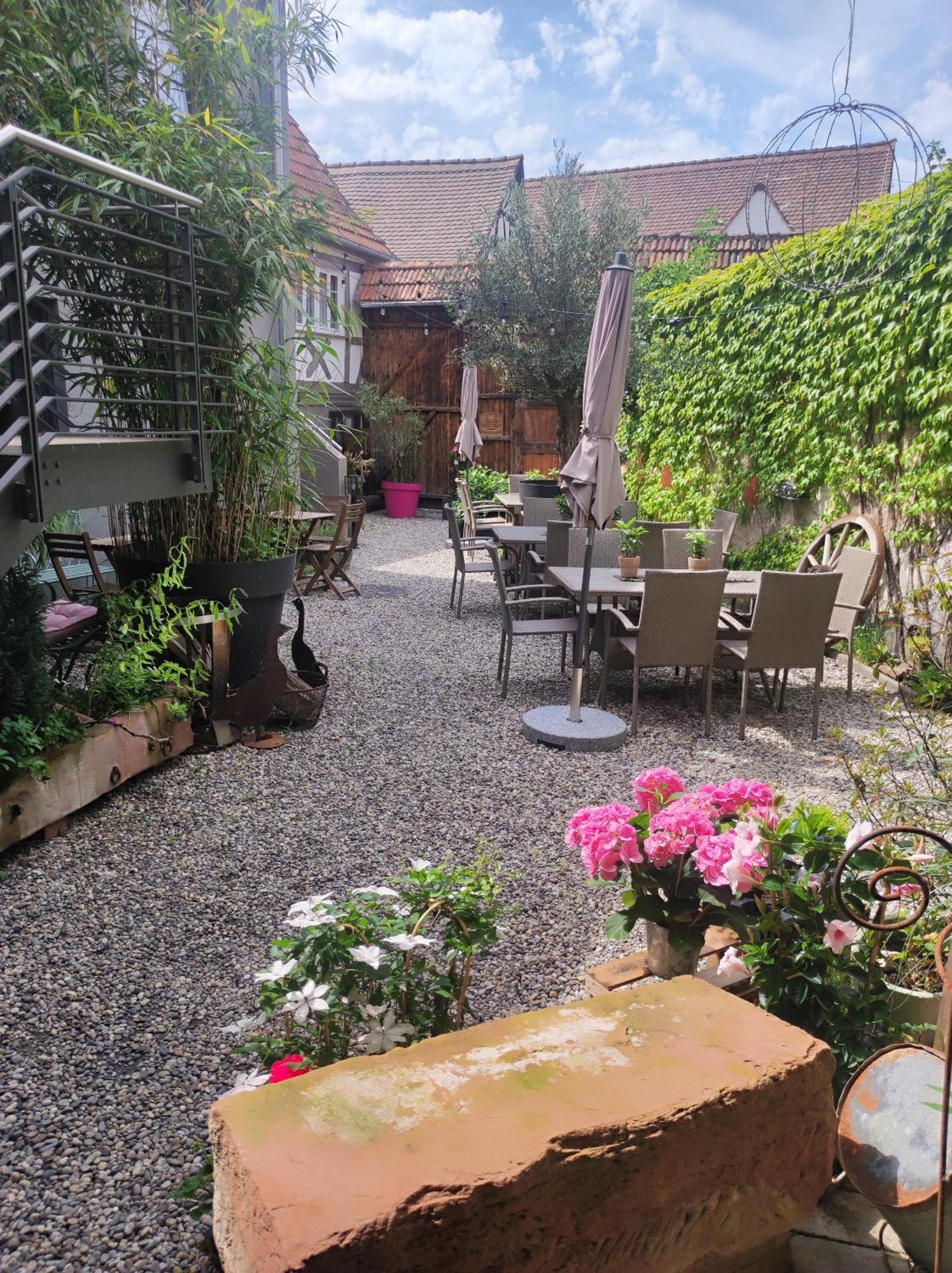 Hofgarten Rosa Ilbesheim bei Landau in der Pfalz Esterno foto