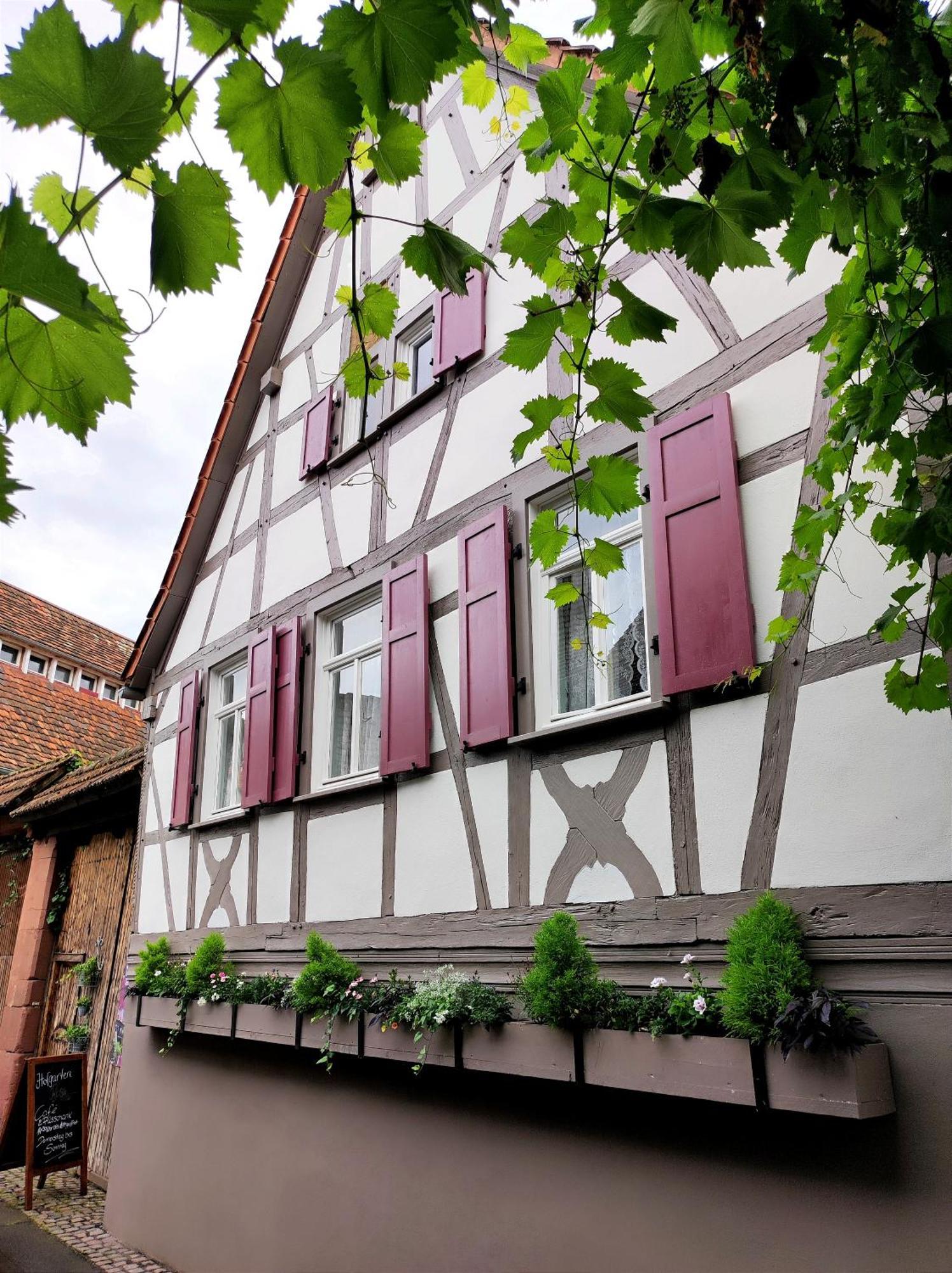 Hofgarten Rosa Ilbesheim bei Landau in der Pfalz Esterno foto
