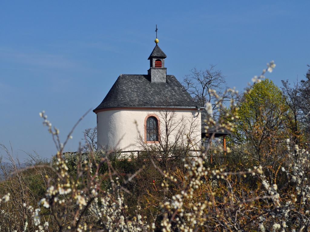 Hofgarten Rosa Ilbesheim bei Landau in der Pfalz Esterno foto