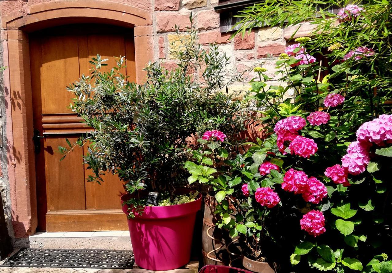 Hofgarten Rosa Ilbesheim bei Landau in der Pfalz Esterno foto